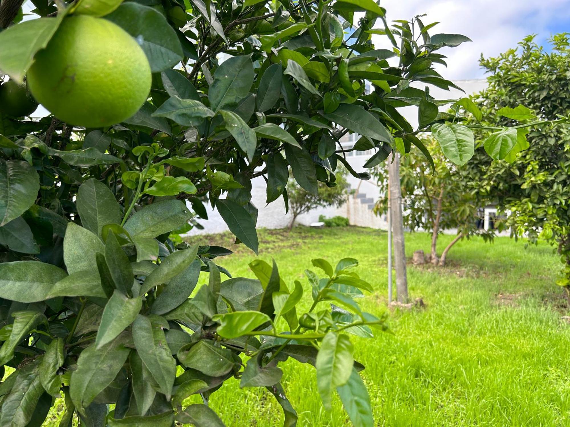Appartamento Casa La Oliva *
